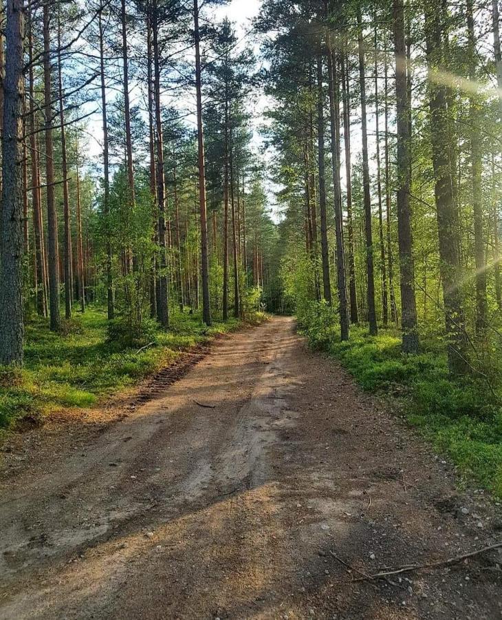 Mysig Timmerstuga Med Braskamin Naera Hovfjaellet Torsby Luaran gambar